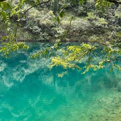 同路人(汇丰店) User Photo