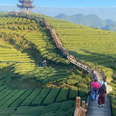 伍家台貢茶張用戶圖片