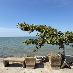 Tutu Beach User Photo