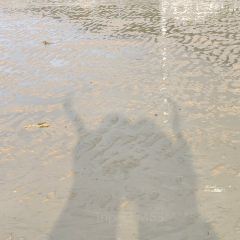 Yongheyuwan (daoshanlu) User Photo