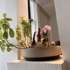 三尺茶庭•湘妃竹文創餐廳張用戶圖片