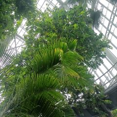 小隱圍屋張用戶圖片