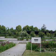 良壤有机庄园 User Photo