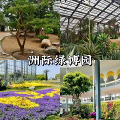 Qisu Court User Photo