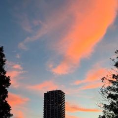 Torie Ueno Hirokoji User Photo