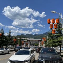 老雒阳面馆·水席(老君山店) User Photo