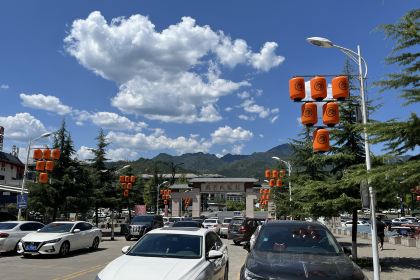 老雒阳面馆·水席(老君山店)