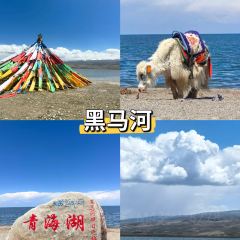 青海土火锅(建设西路店) User Photo