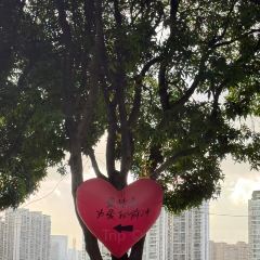 ITEAMO mix User Photo