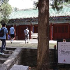 張記煎餅張用戶圖片