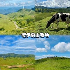 茅坪湖农庄 User Photo