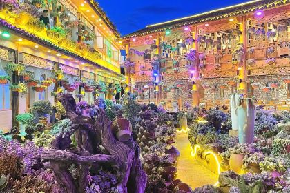 912·张宜庄园(3号店)