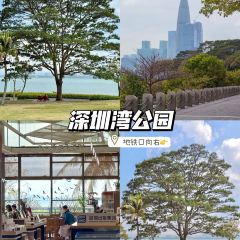 老顾客煲仔饭(蛇口店) User Photo