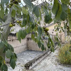 阿姆源(萍乡润达国际店) User Photo