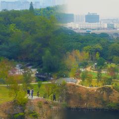 九號美食精作坊（虞山北路店）張用戶圖片