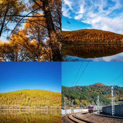 SU SHI TIAN FU User Photo