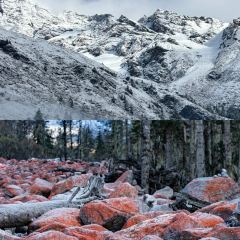 ZA QI ZA BA NIU ZA TANG GUO User Photo