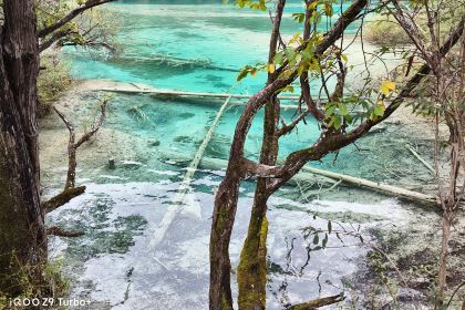 半山海·九寨秘境 Azure Veil Springs 温泉度假酒店·半山海餐厅