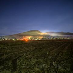 邓氏大薄片 User Photo