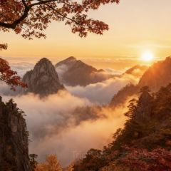 秀嫂挞粿 User Photo