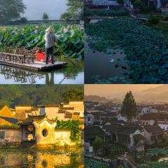 Cheng kan mao dou fu User Photo