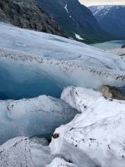 Nigardsbreen