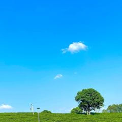 永盛酒樓張用戶圖片