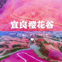 四海烤鸭城 User Photo