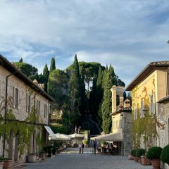 il pomodorino張用戶圖片