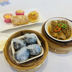 Xinghu Yujing User Photo