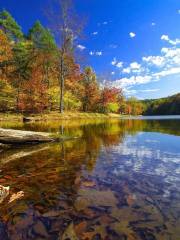 Chain O’ Lakes State Park