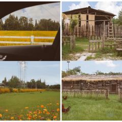 Fanpu Life User Photo