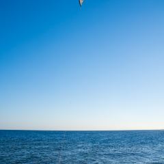 Sea Bride User Photo