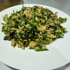 石屏会馆老普洱菜 User Photo