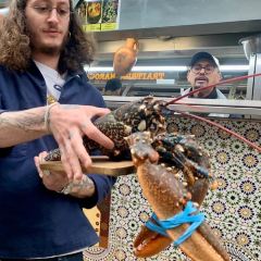 Benedict張用戶圖片