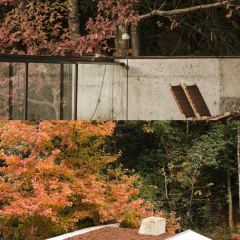 杭州明月松间·潜川酒店·最林泉 User Photo