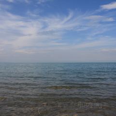 青海湖藏趣部落民宿·特色餐厅 User Photo