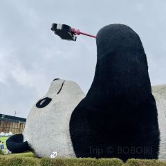 土灶人家•柴火雞張用戶圖片