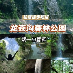 荥经龙苍景园民宿(龙苍沟国家森林公园店)·农家乐 여행 사진