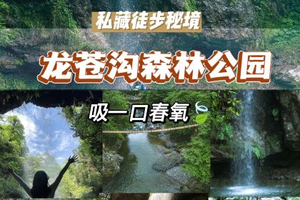 荥经龙苍景园民宿(龙苍沟国家森林公园店)·农家乐