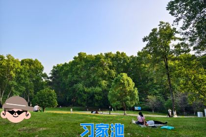 昭明李记红糖饼(北街店)