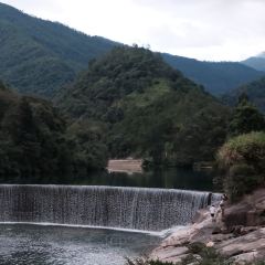 老陈紫溪粉(海洋公园店) User Photo