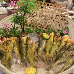 舌尖记忆重庆火锅(颐和公园店) User Photo