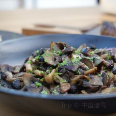 Brasa User Photo
