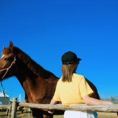 雲子石锅·围炉火塘餐厅 User Photo