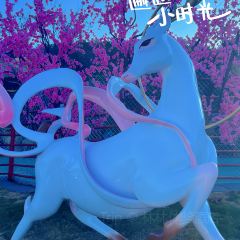 安吉云上草原·1168星空天文酒店·雪具大厅餐厅 User Photo