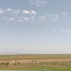 MENG GU DA YING SHI DE GONG YUAN DIAN User Photo