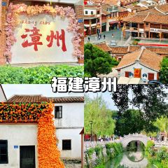 YI TANG YI BAO User Photo
