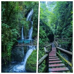 TU ZAO REN JIA CHAIHUO CHICKEN User Photo