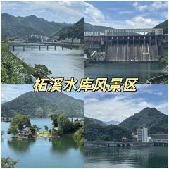 SHANGXILEICHA User Photo